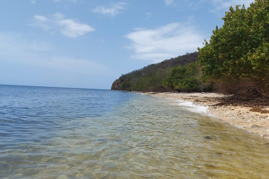 Saturday Markets & Brunch Tour