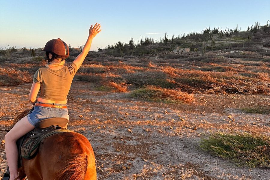 Aruba Ecological and Beach Horseback Ride