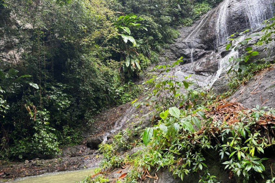 Soufriere Volcano Jeep Safari