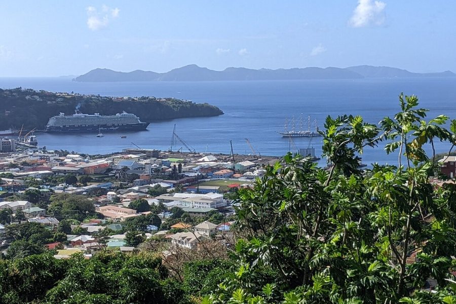 Scenic Historical Tour to Fort Charlotte and Queens drive from IV Excursions