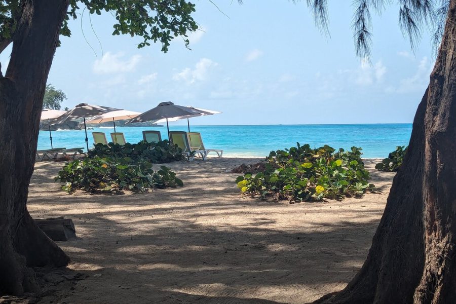 Beautiful Coastal Sightseeing Tour of Barbados