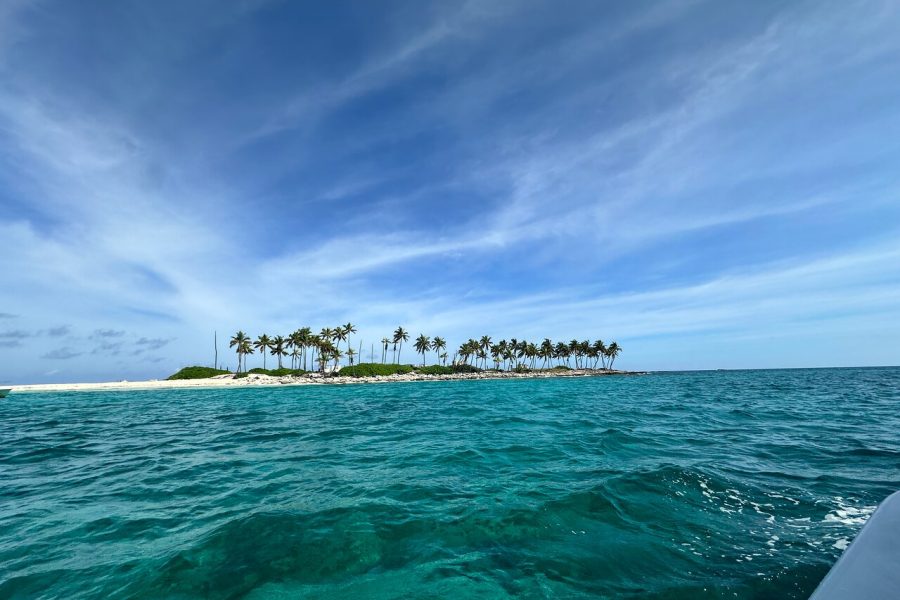 3 Islands Boat Adventure: Swimming Pigs, Snorkeling And Turtles