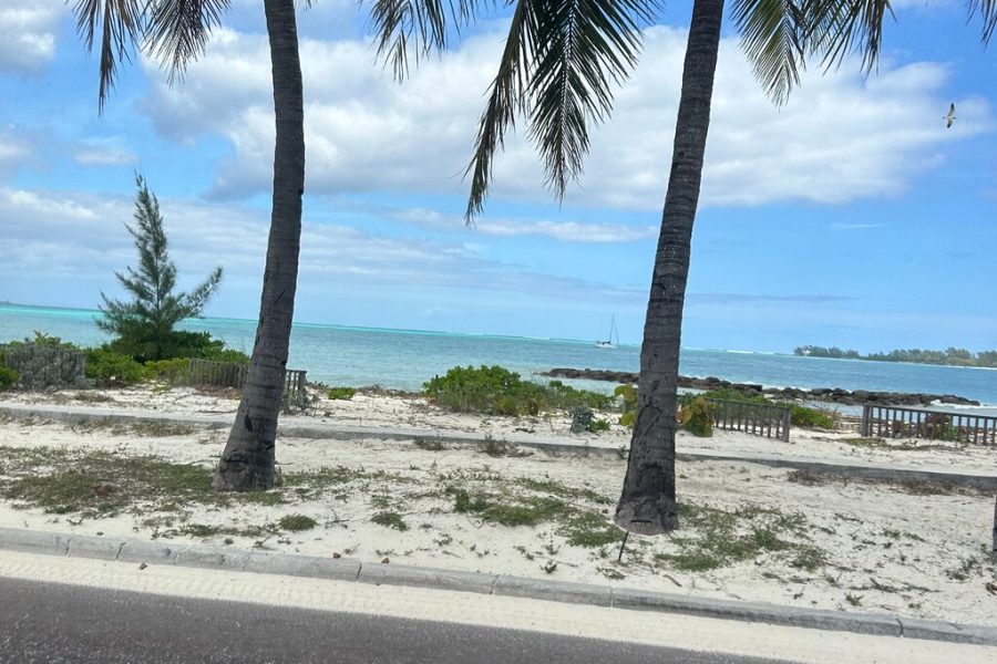 Rum Reggae and Rhythms Tour: Dancing and Cocktails