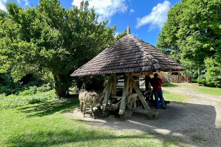 Historical 18th Century Estate Tour with Coconut Tasting
