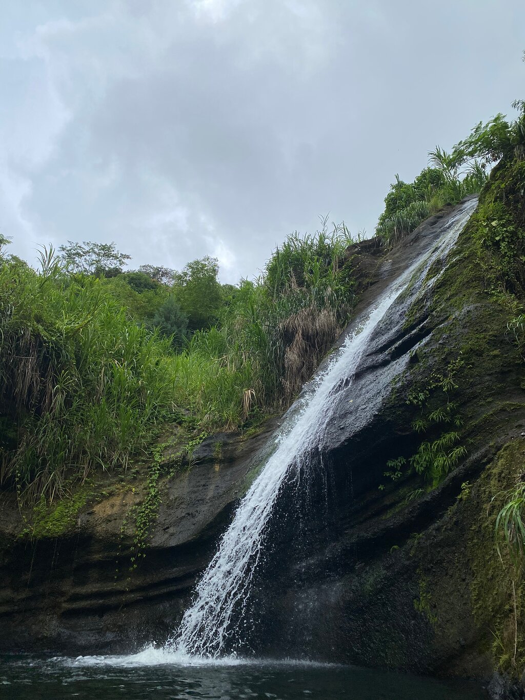 ALL INCLUSIVE Full Day snorkeling & sunset cruise with boat dogs