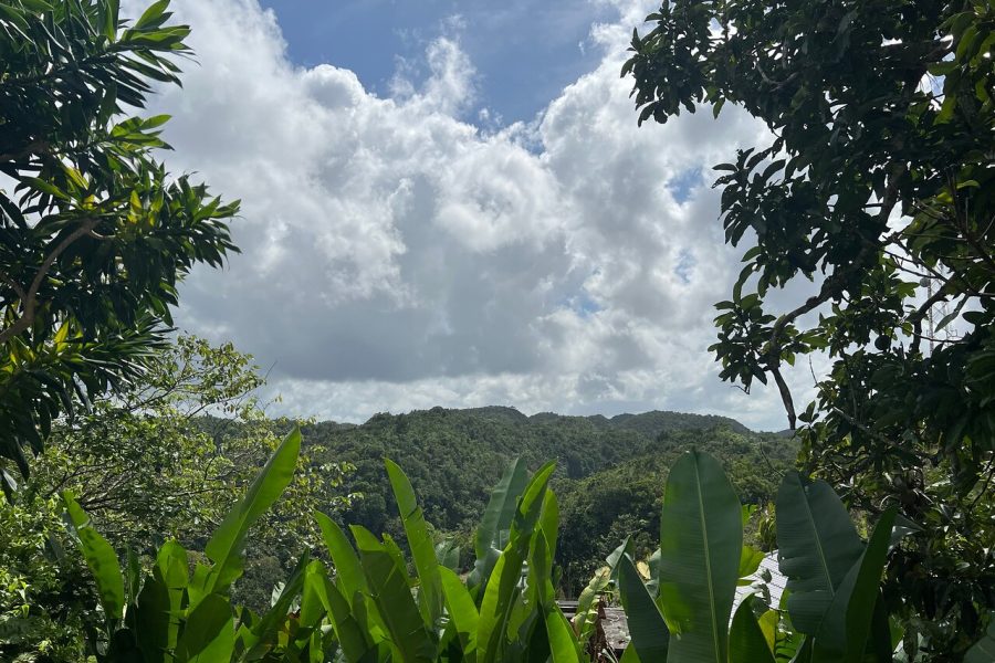 Bob Marley’s Nine Mile Admission and Guided Tour from Montego Bay