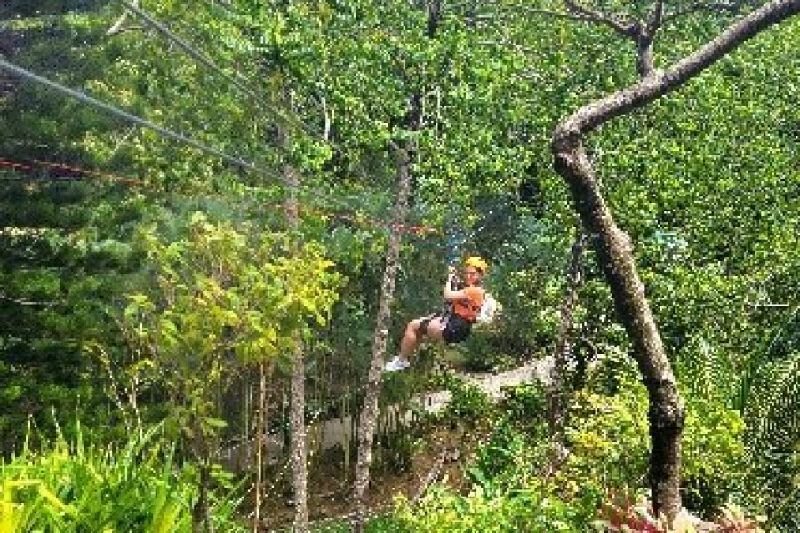 Adrena-Line Zipline Canopy Tour at Rainforest Adventures St. Lucia