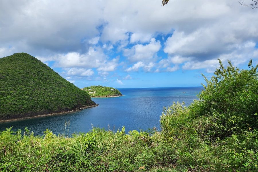 Mt Pimard Nature Trail Hike