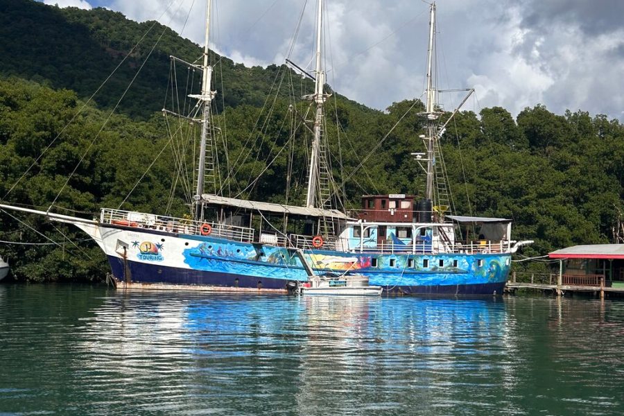 St Lucia Full-Day Catamaran Sightseeing Cruise With Snorkeling
