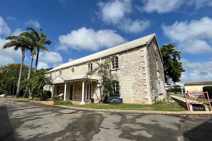 Cave & Monkey Zipline Experience at Harrison’s Cave by Chukka