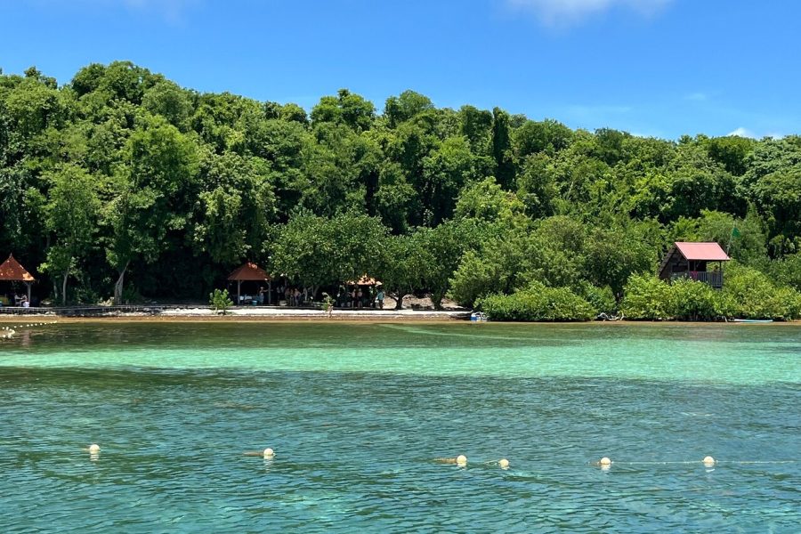 Day Trip by Boat from Le Robert