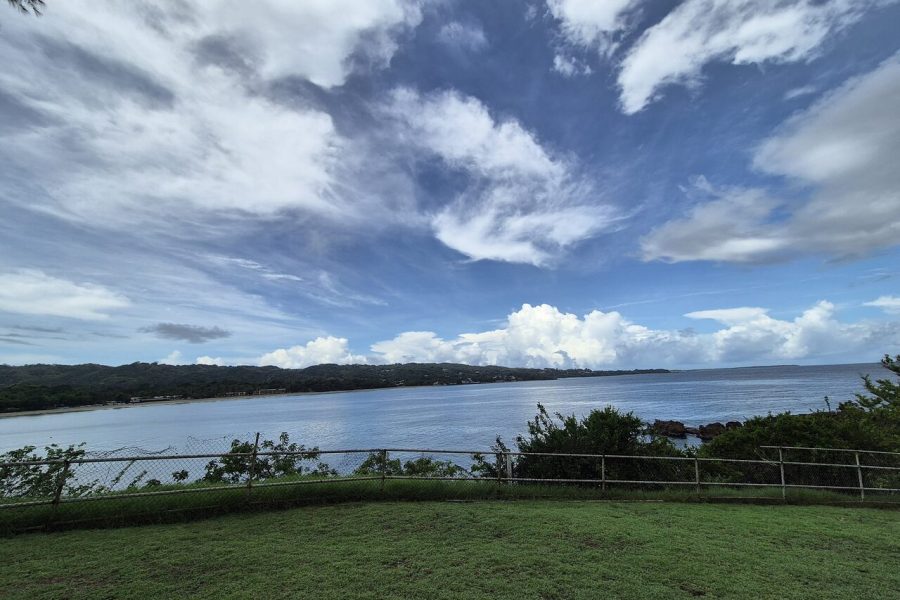 Tobago Buccoo Reef Glass Bottom Boat Cruise and Island Sightseeing Tour