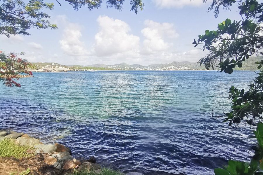 St. Lucia Morne Coubaril Estate Zipline Experience