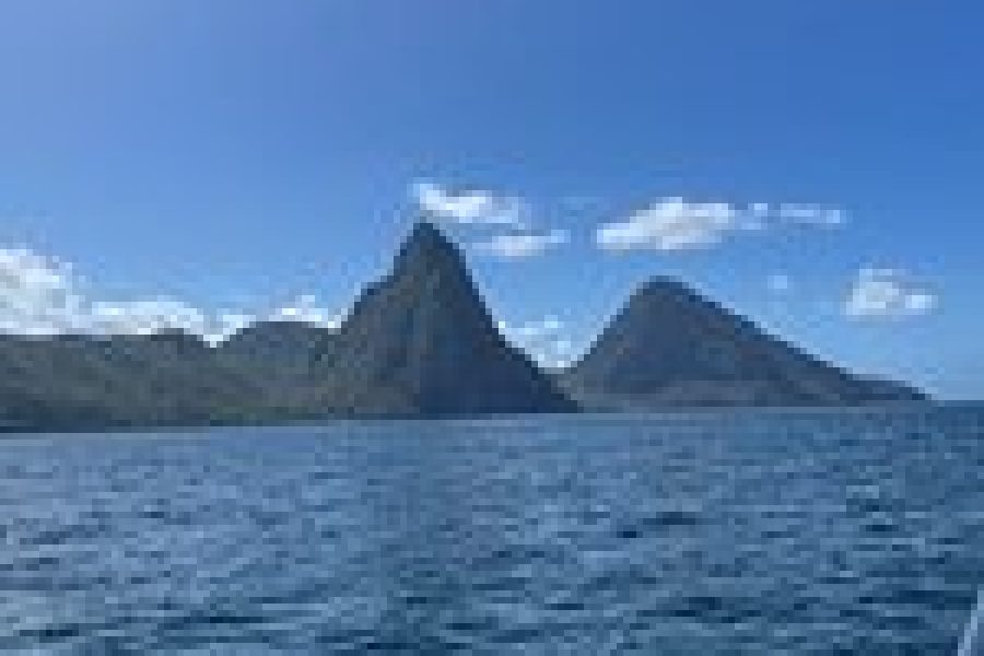 St Lucia Ultimate 3: Aerial Tram, Zipline and Hiking at Rainforest Adventures