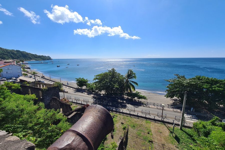 Private Custom Tour of Martinique