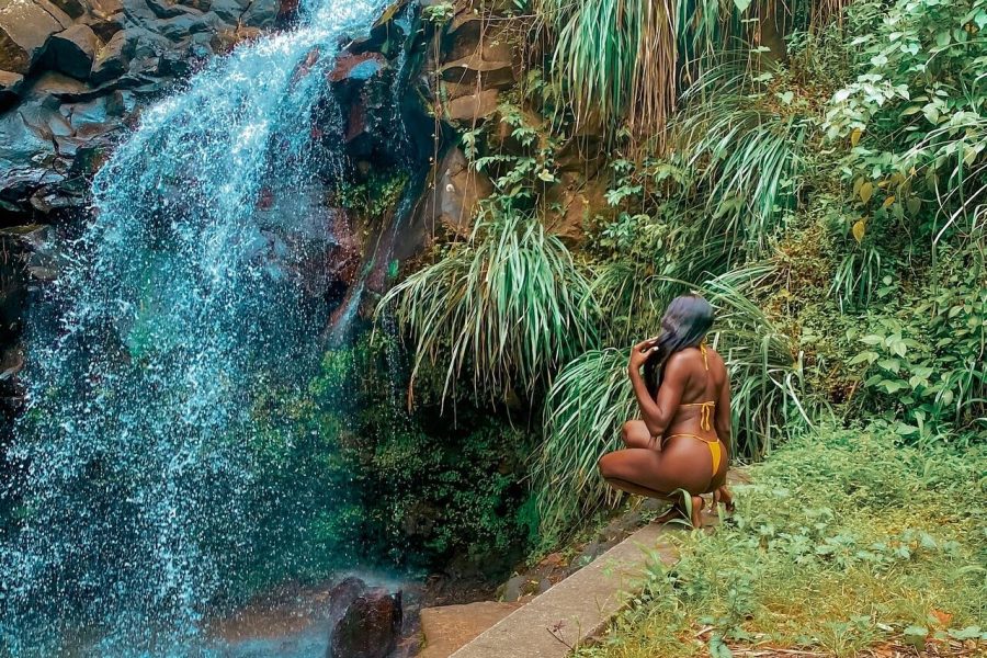 Half-Day Concord Waterfall and Chocolate Factory Tour