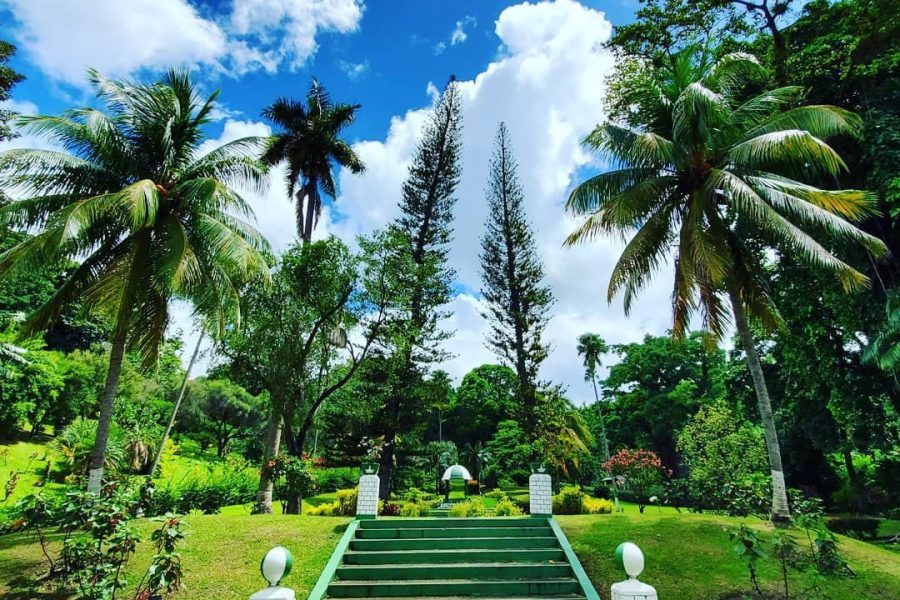 Dark View falls , Wallilabou , Fort Charlotte, Kingstown from IV Excursions