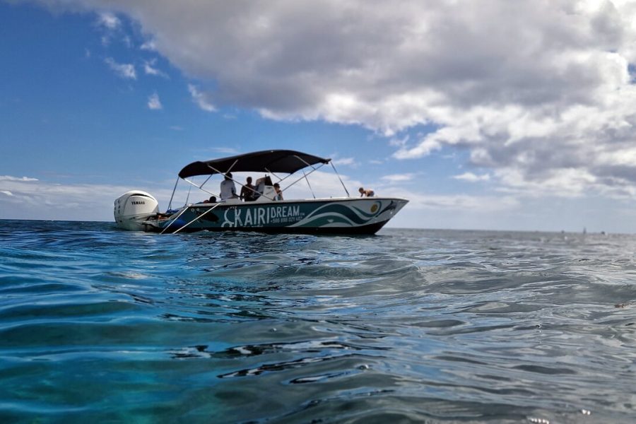 Sea Turtles and snorkeling