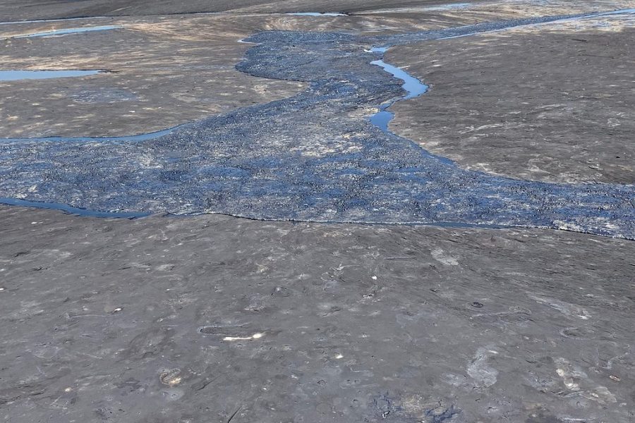 Down South Tour of Trinidad