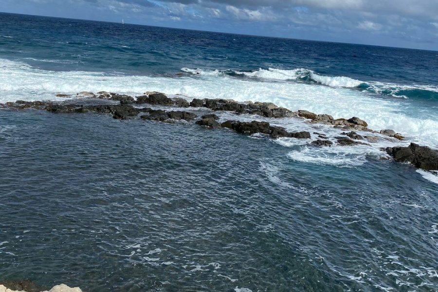 Kingstown, Botanical Gardens, Fort Charlotte and Beach w/ Topdawg Taxi and Excursions