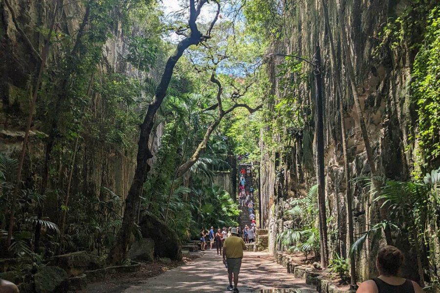 Nassau Food and History Bus Tour